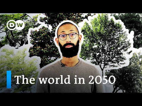 What will the world look like in 2050 if we reach carbon neutrality? | DW News