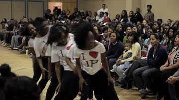 UNCC Stroll Competition 2011: Delta Sigma Theta Stroll 1