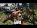 QUADRILHA CANINA (Lobo, Coiote, Raposa e Husky juntos) - Red Dead Redemption 2