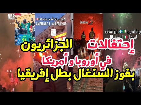 إحتفالات الجالية الجزائرية في أنحاء العالم بفوز منتخب السنغال و خسارة المغرب السنغال بطل إفريقيا 