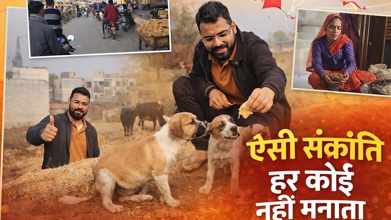 Makar Sankranti Special Vlog 🪁 | Dogs, Cows, Patangbaazi, Family & Friends Vlog | Harshu Vlogs
