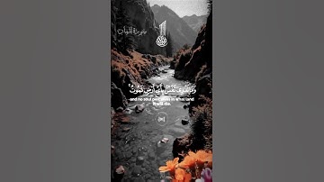 سورة لقمان من الاية 31 إلى الاية 33 #تلاوات #المصحف #تلاوة_هادئة #قران_كريم #راحة_نفسية #قرآن
