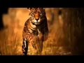 Loreena McKennitt --The Mummers Dance