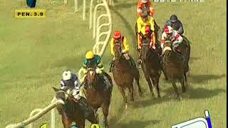 The D W Reid Plate  Winner - CRACKER BARREL