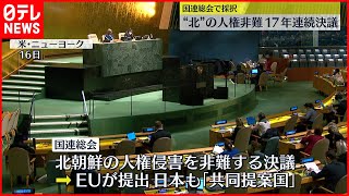 【拉致問題】国連“北朝鮮の人権侵害を非難”17年連続採択