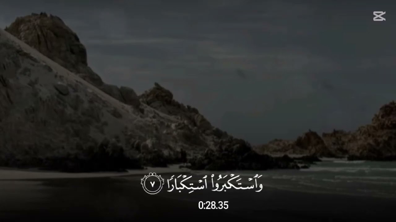 آيات من سورة نوح { قال رب دعوت قومى ليلا و نهارا } [ ماهر المعيقلي ] 