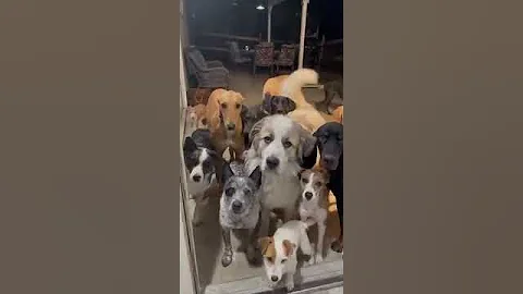 IYKYKTheyKT,too,to, two, 2 Incredible