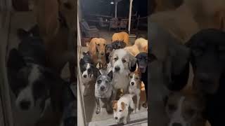 Iykyktheykttooto Two 2 Incredible