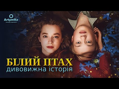 YouTube відео