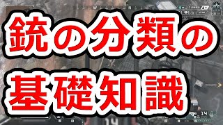 APEXでわかる銃の分類の話【実銃解説】NHG