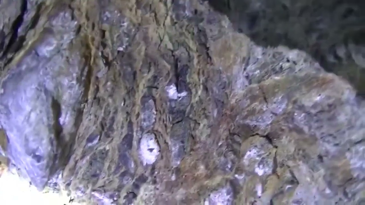 Is this worth $100K? Black Swan Gold Mine Virtue Flats, Oregon