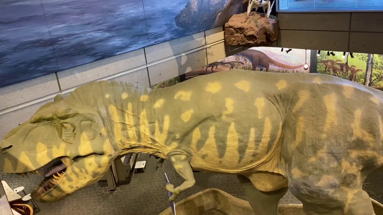 Science solar system planets waves celestial mechanics mathematics T-Rex Boston Portland Maine