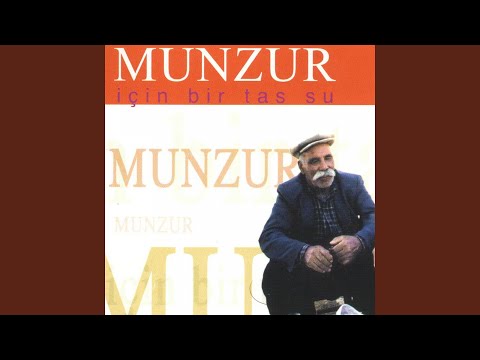 Gulizarê