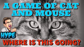 CAT is here!! What's next