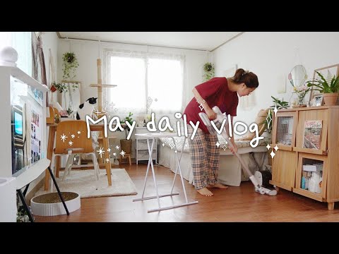 (ENG) 5월의 끝물 vlog 🌼 땡초의 새로운 캣폴 조립, 강제로 M1 맥북 구매 🤯, 휴무날에 즐기는 홈 티타임, 산청으로 떠난 인생 첫 글램핑 🏕
