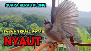 🔴TRUCUKAN GACOR ROPEL PANJANG | MASTERAN TRUCUKAN | PACINGAN AGAR BUNYI GACOR SEPANJANG HARI screenshot 2