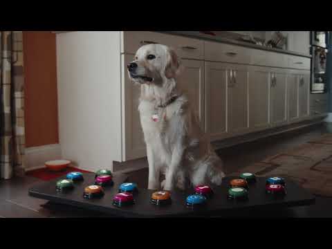 ThunderWunders Huckleberry (Button) Commercial 2021 - video from ThunderShirt