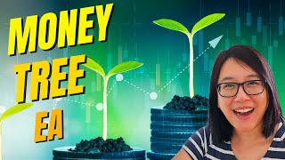 The COMPLETE Money Tree EA Review screenshot 2