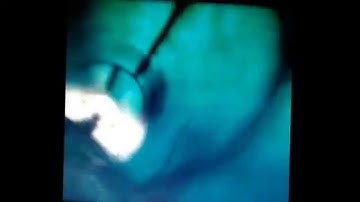 "CLEAR!" Inbetweeners 2 , Will on Water slide