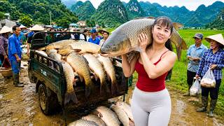 Buying Lots of Giant Fish From Villagers | Truck Overflowing To Village Market