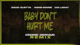 David Guetta, Anne-Marie, Coi Leray - Baby Dont Hurt Me (Cedric Gervais remix) [VISUALIZER]