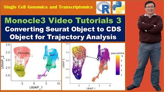 Monocle 3 video 3: Converting Seurat Object to CDS Object for Trajectory Analysis