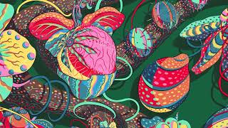 Sam Wilde X Svenskt Tenn