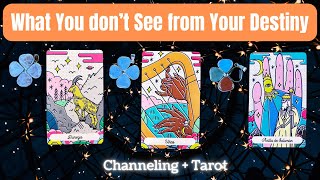 What You Don't See Coming In Your Destiny ⭐Mindblowing Detailed Channeling | Puck a Card / Timeless