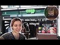 Польский магазин в Англии | нашла семечки (ч.2), гречка, сосисочьки
