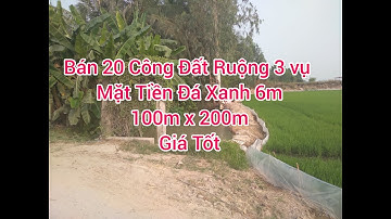 (Đã Bán) 20 ruộng Mặt Tiền 100m x 200m Tân Thành B Tân Hồng Đồng Tháp Giá 2 Tỷ 300 triệu