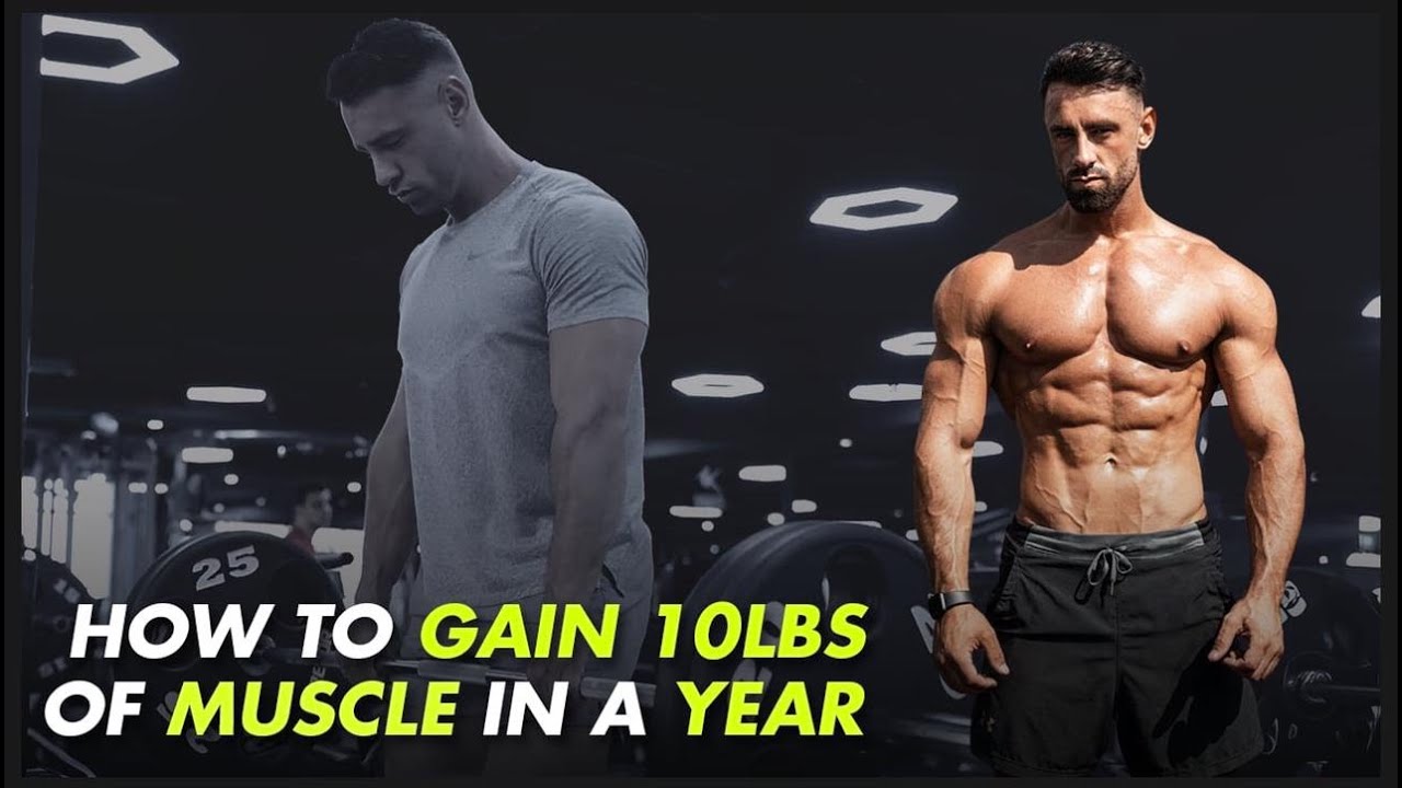 How to Gain 10-20lbs of Muscle in a Year as a Beginner / Full Walkthrough - YouTube