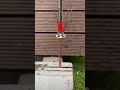 Amazing tool that a blacksmith revealed. #CaliGarage #BlacksmithSecret #SmartSolution
