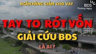 Cho vay BĐS Giảm Mạnh, Xuất hiện nhiều tay to rót vốn vào GIẢI CỨU Thị Trường