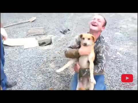 ცხოველებს ეხმარებიან საოცარი კადრები