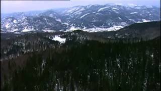 2012 Special Google Doodle Earth Day Video