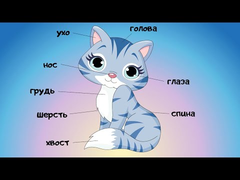 🐅 Части тела животных для детей. Учим животных. Видео для малышей. 2 серия.