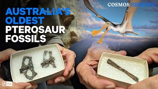 Australia’s oldest pterosaur fossils found in ancient polar wilderness | Cosmos Briefing #science