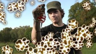 Mamasweed video This Is What I Want