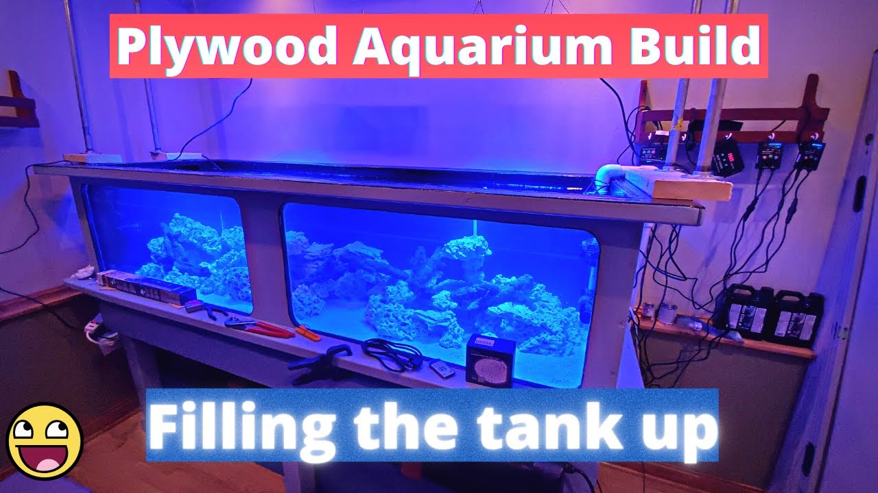 Filling a 300 Gallon Aquarium Plywood Aquarium Build YouTube