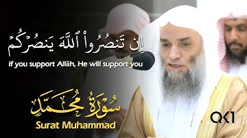 (إن تنصروا الله ينصركم) تلاوة خاشعة للشيخ فيصل غزاوي ~ سورة محمد | Sheikh Faisal Ghazzawi