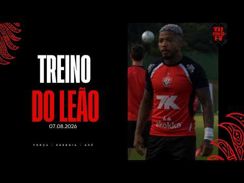 Treino Do Leão