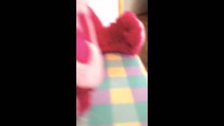 Webkinz Sing Off