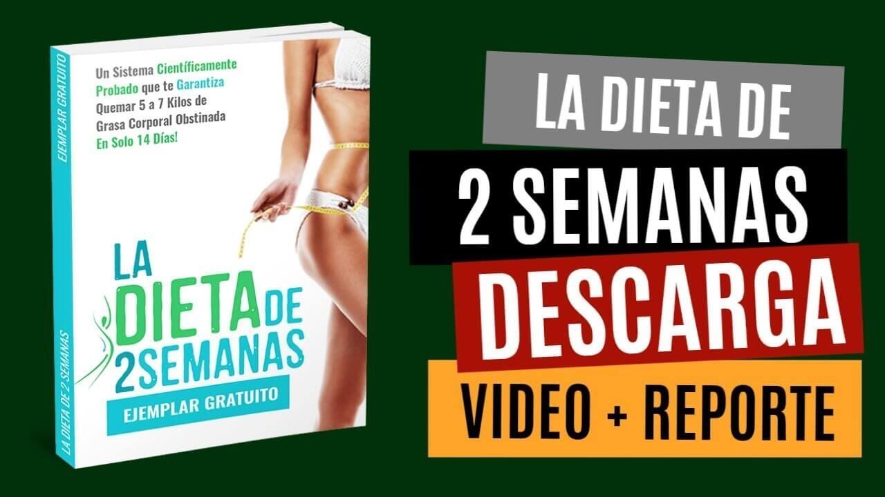 La Dieta de 2 semanas  libro pdf Brian Flatt  La Verdad Sobre La Dieta de 2 Semanas