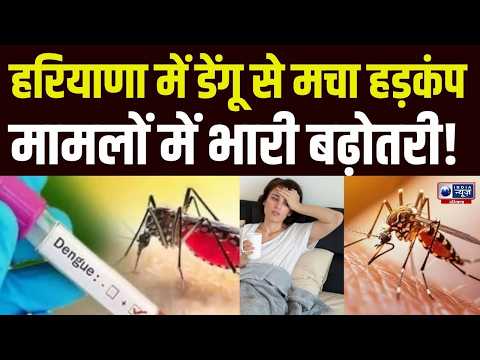 Dengue : Haryana में डेंगू के बढ़ते मामलों से मचा हड़कंप, दिन प्रतिदिन आंकड़ों में वृद्धि दर्ज!