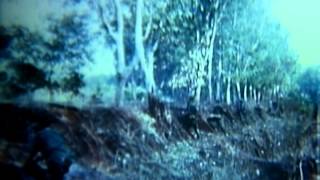 Activities Of The 1st Infantry Division, South Vietnam (1968)