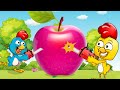 Pollitos Pio - Gallina Pintadita - Canciones infantiles - Dibujos animados para niños