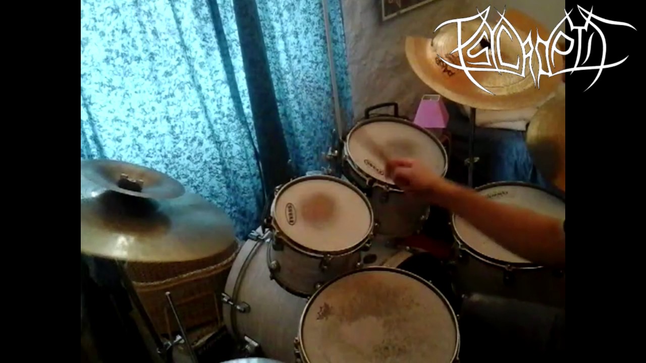 PSYCROPTIC - Setting The Skies Ablaze (Drum Cover)