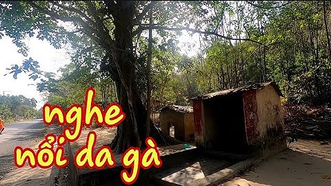 Rợn người hai ngôi miếu quá linh dưới gốc cây cổ thụ từng cho số trúng đặc biệt