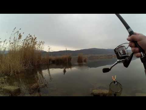 თევზაობა გლდანის ტბაზე 2017