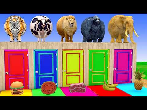 Long Slide Game With Cow Elephant Gorilla Hippopotamus Tiger 3d Animal Game Funny 3d Animals Video